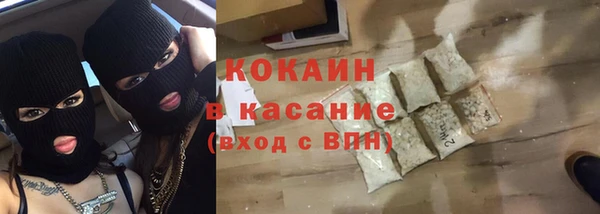 стаф Алзамай
