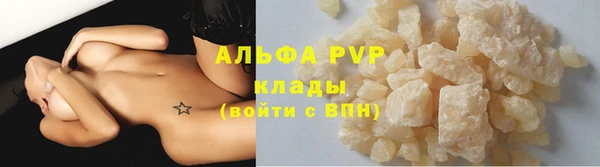 стаф Алзамай