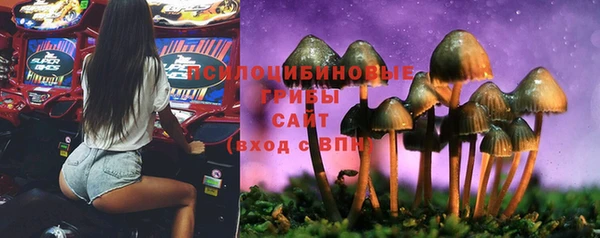 2c-b Алексеевка