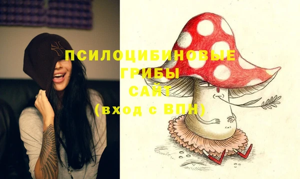 стаф Алзамай