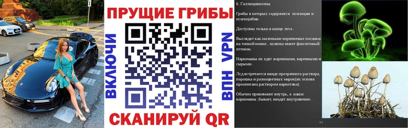 Галлюциногенные грибы Magic Shrooms  Байкальск 